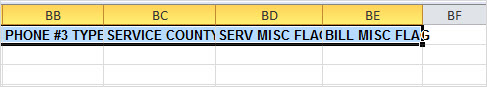 var_svc_rpt_excel_right4.jpg