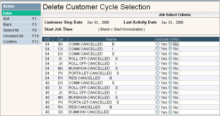 purge_delete_custs_cyc_sel2.jpg